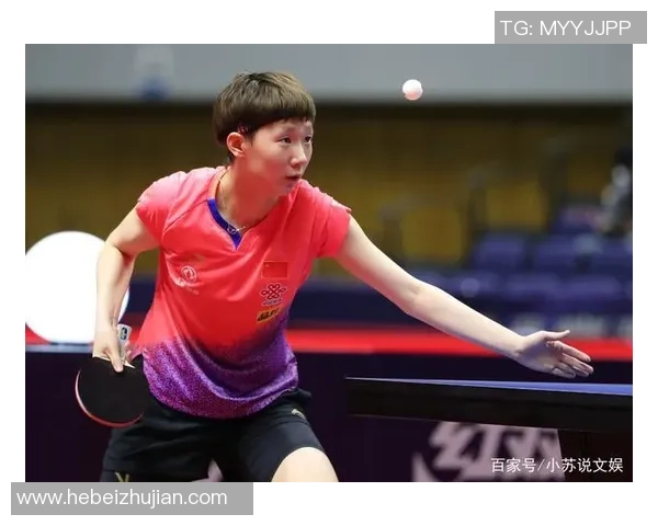 赵伟专访:回顾乒乓球历程 赵伟专访:回顾乒乓球历程