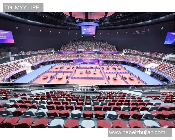 乒乓球深度：解密杭州乒乓球队的运营