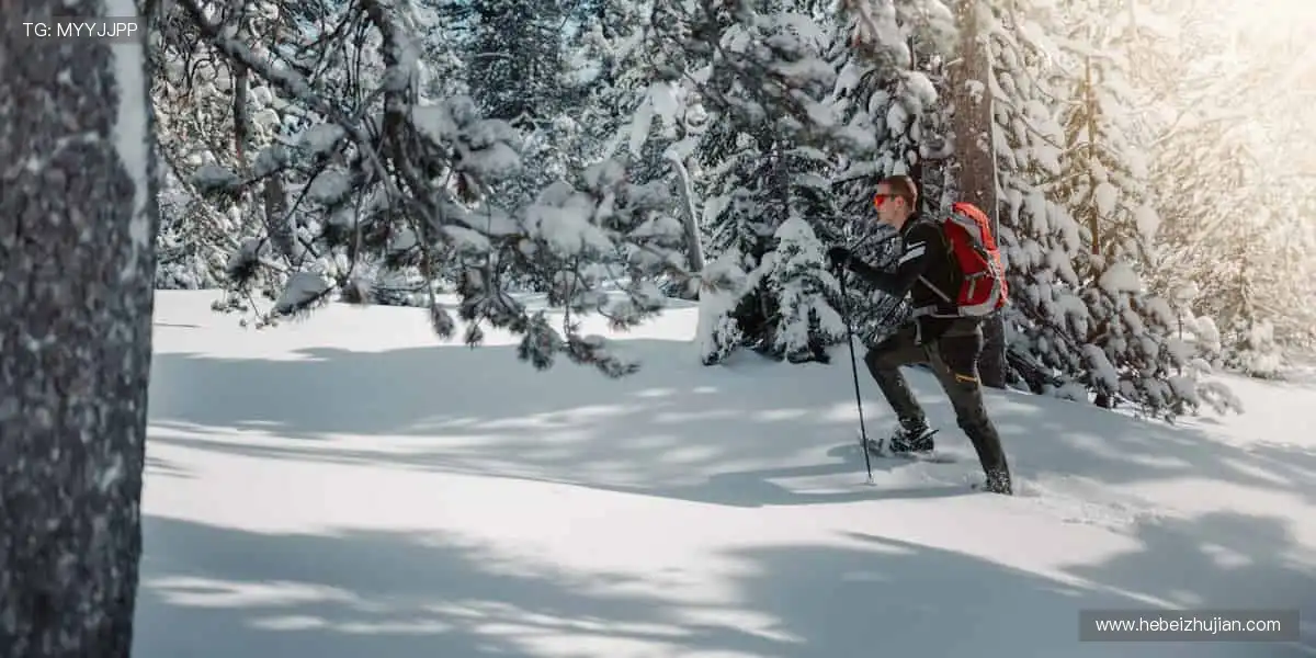 🎉赛事预告,精彩赛程提前锁定!📅